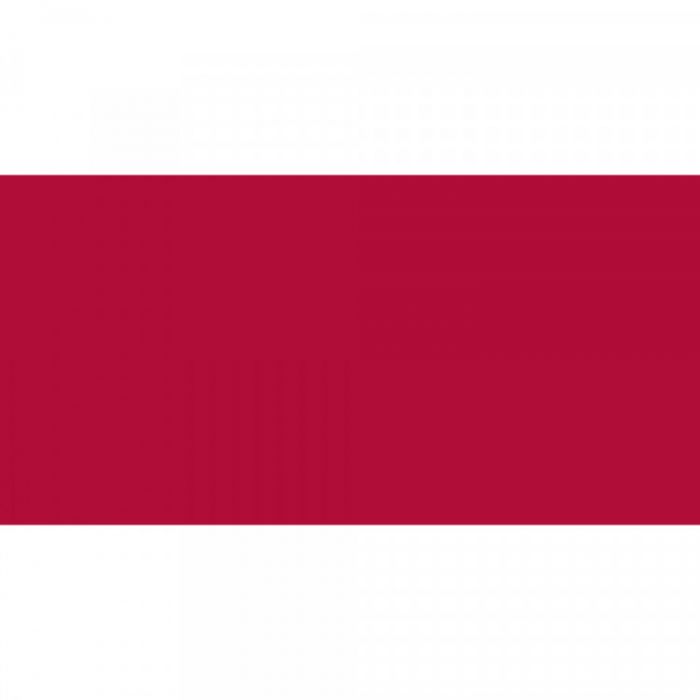 Caran d'Ache NeoColor II Carmine Vaxakvarellkrita