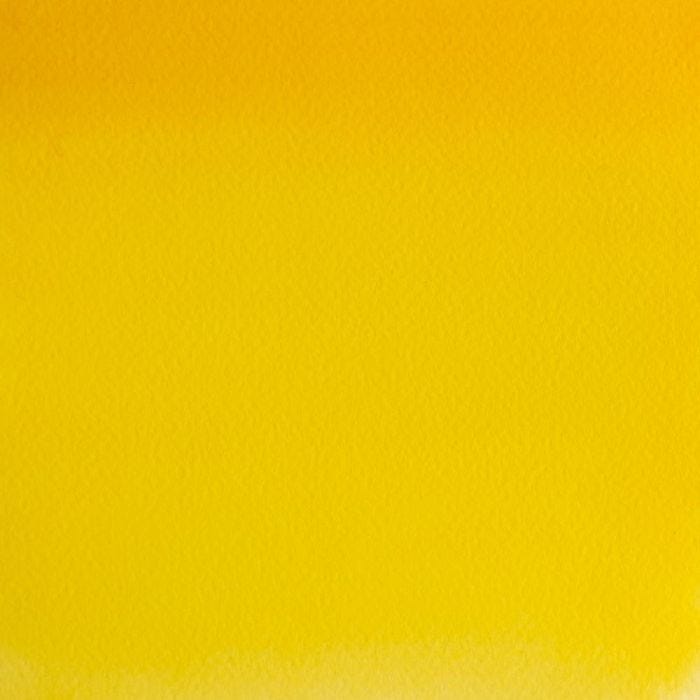 WN Cadmium Yellow Pale 5ml