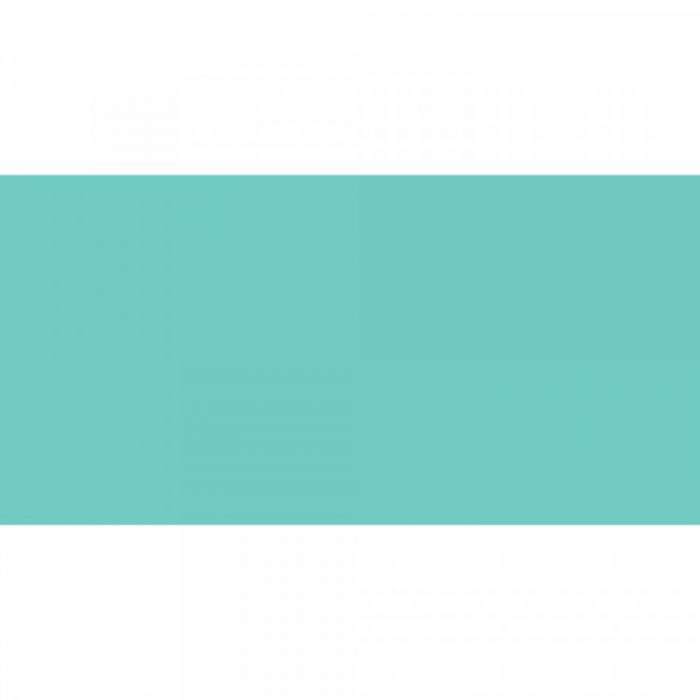 Caran d'Ache NeoColor II Jade Green Vaxakvarellkrita