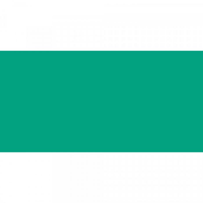 Caran d'Ache oljepastell (neo) Greyish Green