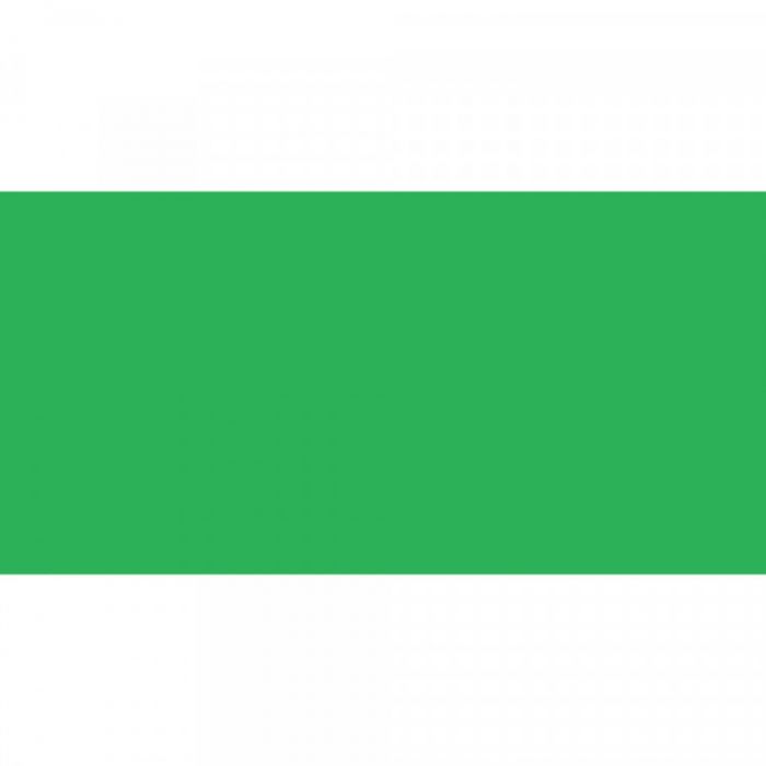 Caran d'Ache oljepastell (neo) Grass Green