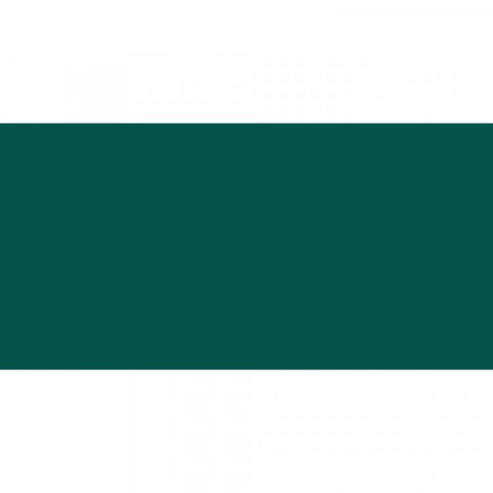 Caran d'Ache oljepastell (neo) Dark Green