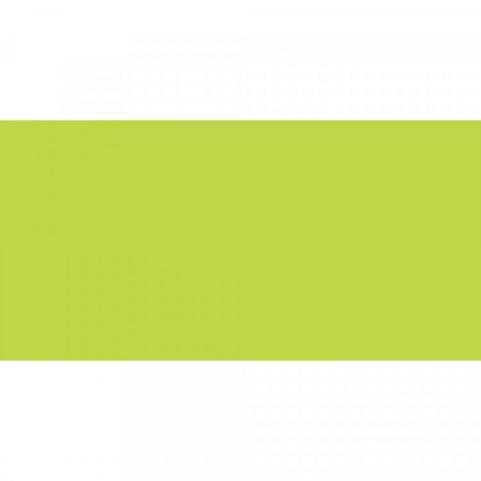 Caran d'Ache NeoColor II Chinese Green Vaxakvarellkrita