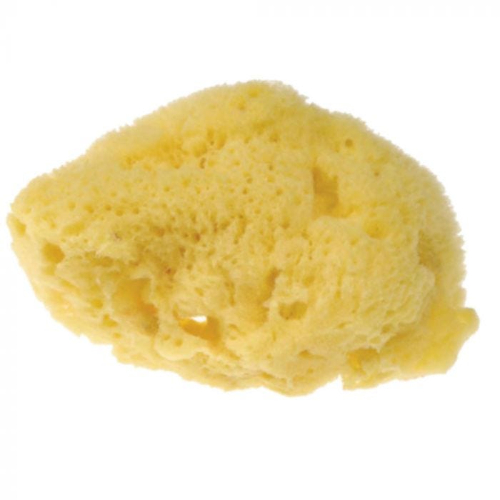 Svamp finpor natur 6cm