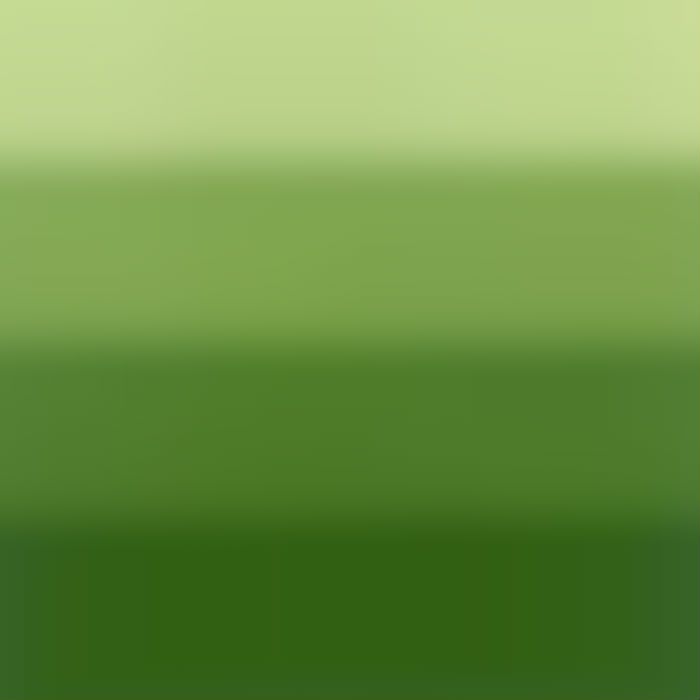 Charbonnel Medium Green 60ml