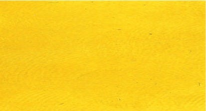 Caligo Safe wash Relief ink Mustard yellow 75ml