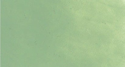 Caligo Safe wash Relief ink Sage green 75ml